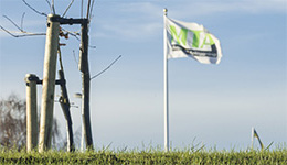 mta-flagga-albinsro-liten
