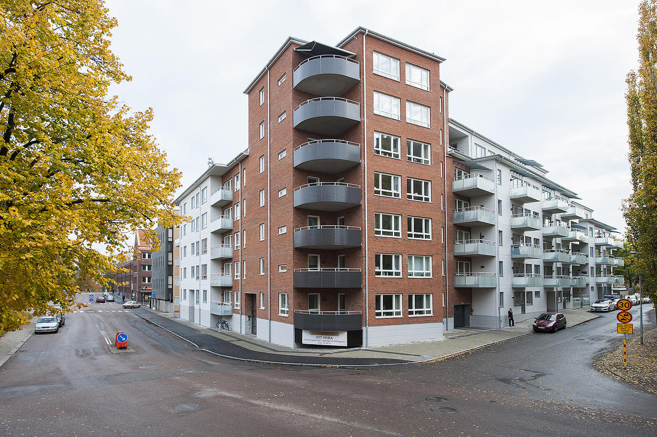 Kv Gråmunken, Halmstad